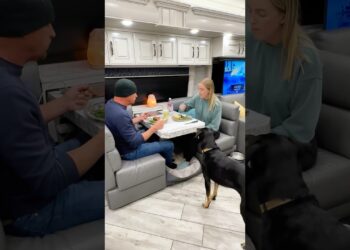 Realistic evening living in an RV 🚍 Home is where you park it! #motorhome #rvlife #asmr #vlog