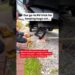 Easy RV Hack to Keep Bugs Out! #rvlife #rvhacks