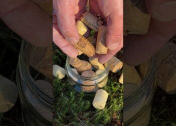 This Camping Hack Will Start a Fire in Seconds! 🔥 #camping #lifehacks #survival