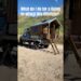 What do I do for a living to afford this lifestyle? #vanlife #truckhouselife #alaska