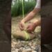 Incredible Camping Tips🌲