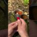 Survival Skills: Lifehacks with a Universal Knife. #survival #camping #lifehacks