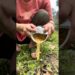 How to Drain Instant Noodles Without Spilling Them #survival #camping #hacks #bushcraft