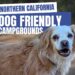 11 Northern California Dog Friendly Campgrounds