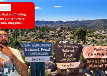 I Tested and Reviewed the Best 3 Campgrounds in Big Bear, CA