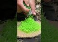 Genius Camping Hack: DIY Portion Soap & Handwashing Station in 5 Minutes! #campping #lifehacks