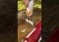 Incredible Life Hack with Victorinox Swiss Army Knife #survival #camping #lifehacks