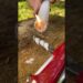 Incredible Life Hack with Victorinox Swiss Army Knife #survival #camping #lifehacks