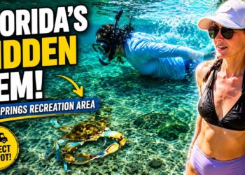 Florida’s Hidden Gem? RV Camping at Salt Springs Recreation Area