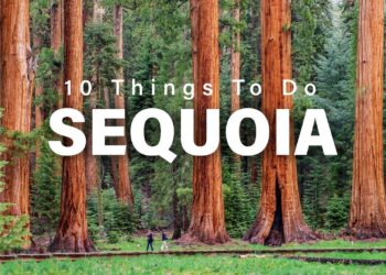 Top 10 Things To Do In Sequoia National Park, California In 2024