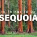 Top 10 Things To Do In Sequoia National Park, California In 2024