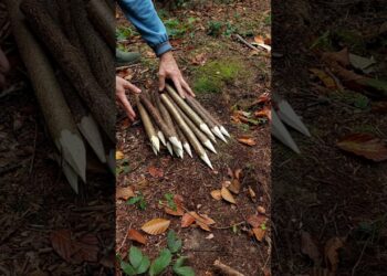 Survival bushcraft Skills #survival #camping #lifehacks #outdoors #bushcraft #shorts #skills #ideas