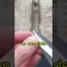 🤯How to fix a broken zipper?🧵🧥#lifehacks