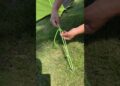 WOW, the BEST knot for Camping!