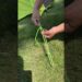 WOW, the BEST knot for Camping!