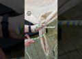 This Corner Knot Technique is Fascinating! #rope #camping