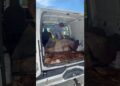 We turned this creepy old work can I to a $30,000 rv #vanlife #diy #flipping #transformation #shorts